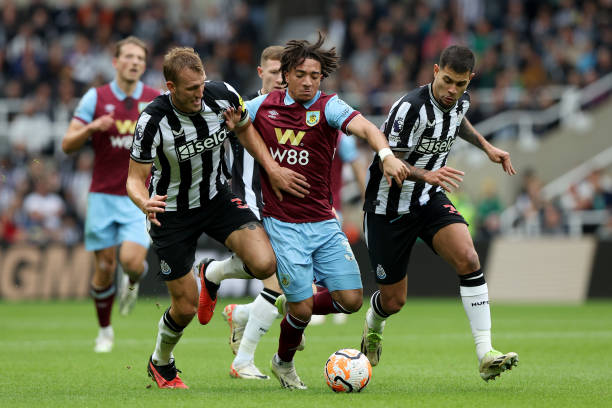 伊朗男篮的 伊朗男篮的